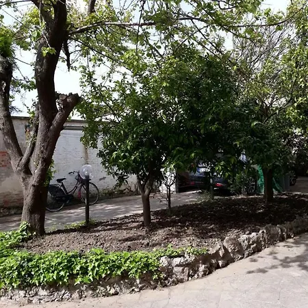 Casa *